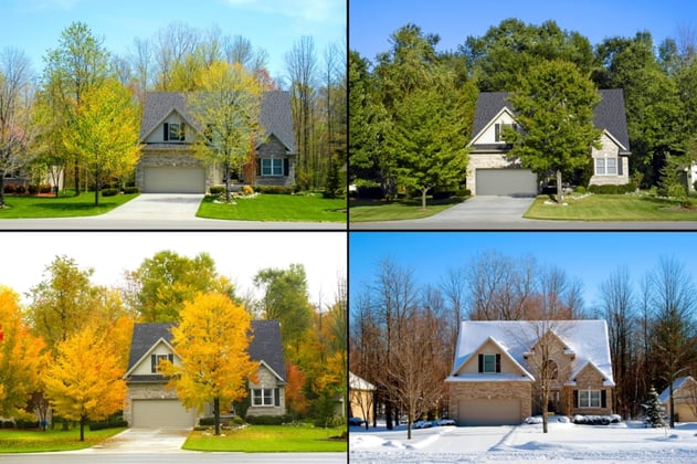 Four images of a house in each season