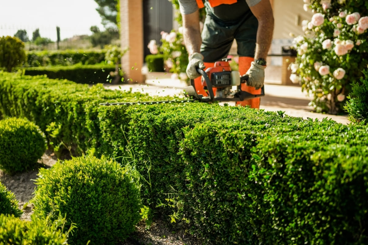 Someone trimming bushes outside of a house