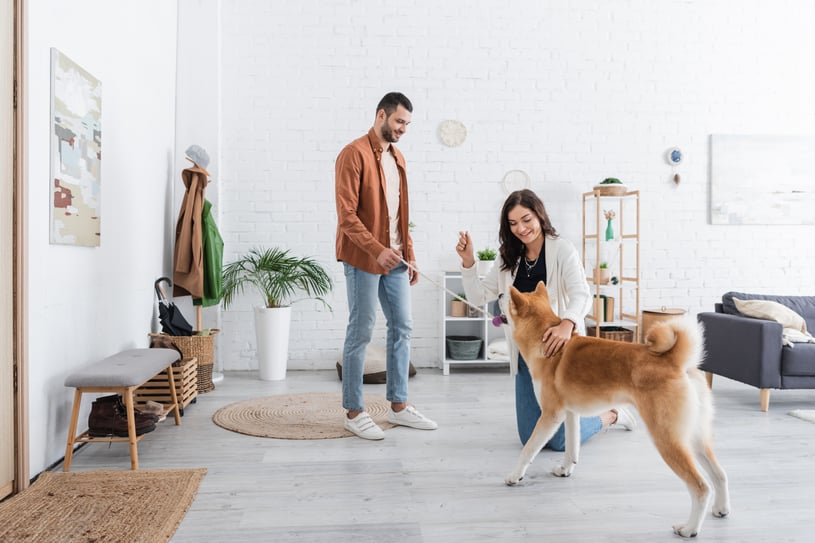 happy young woman cuddling akita inu dog near smiling boyfriend holding pet toy