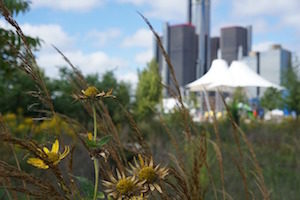 detroit-city