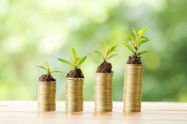 We Help You Grow