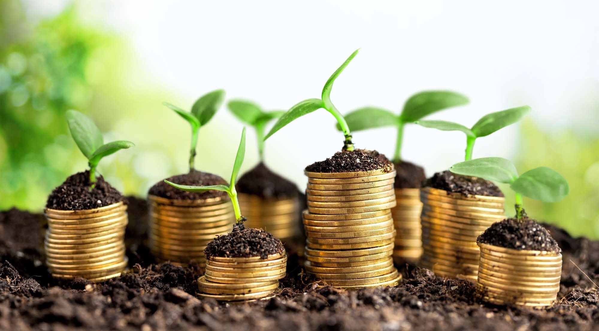 4 Strategies to Protect Your Property Investments in Detroit copy
