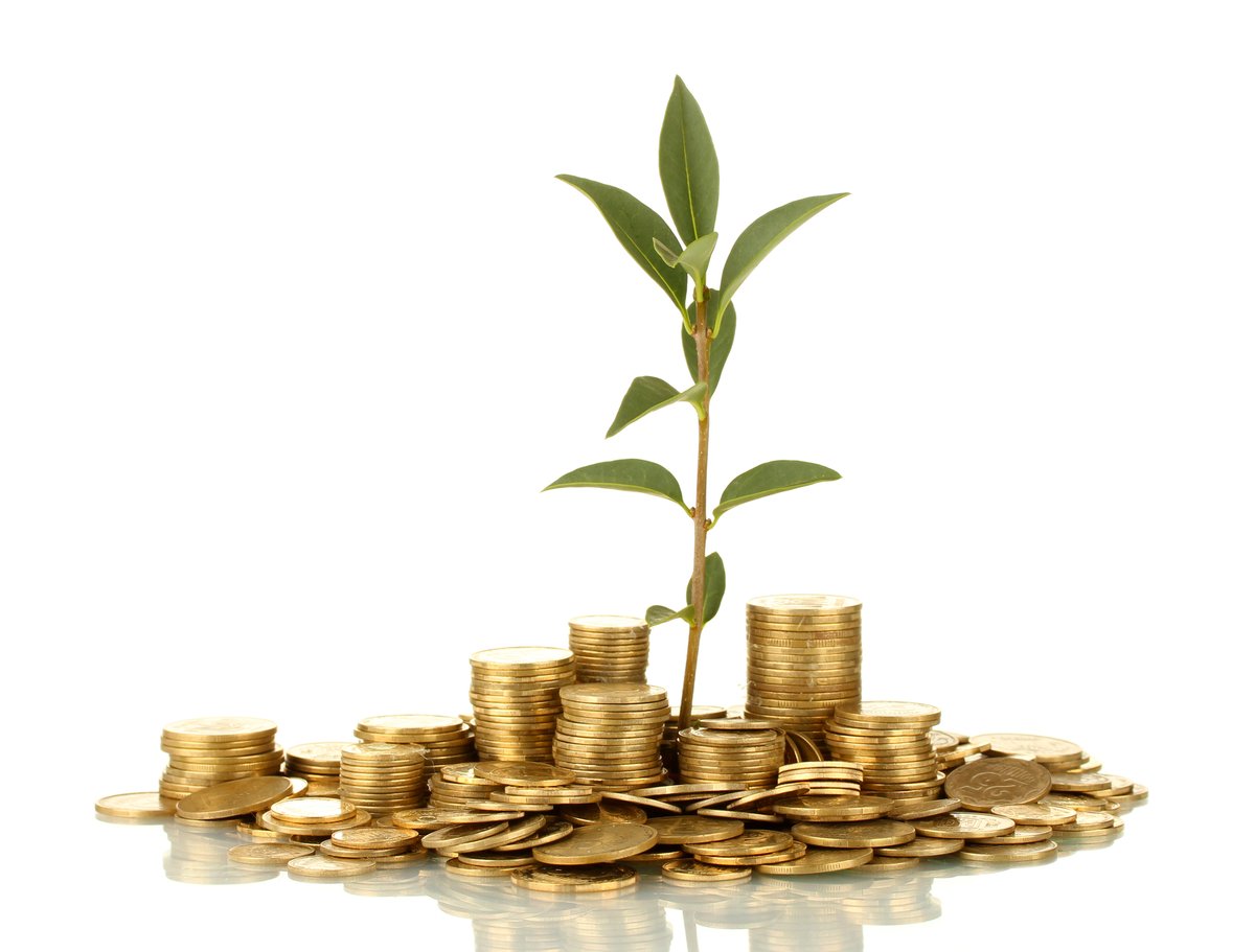 Plant growing out of gold coins isolated on white