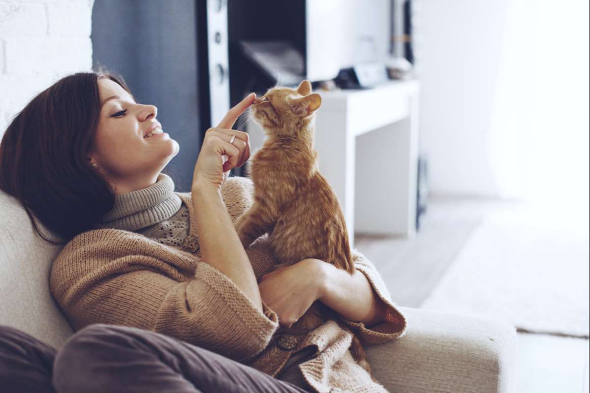 Young woman wearing warm sweater is resting with a cat (R) (S)