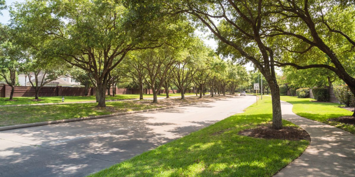 Side view of asphalt road, street in suburban residential area with lot of green trees