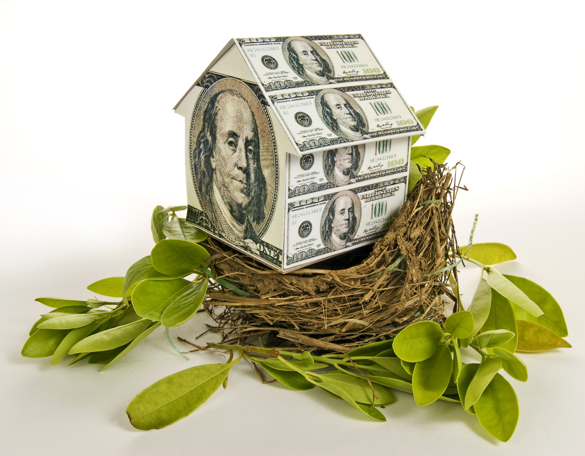 miniature house made out of dollar bills placed over a bird nest