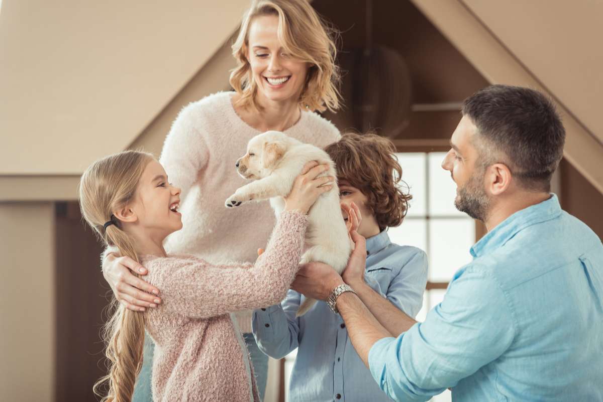 Happy family photo with a puppy